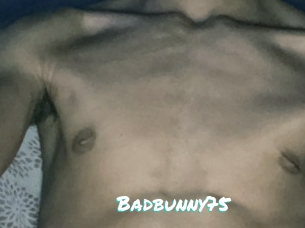 Badbunny75