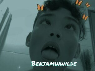 Benjaminwilde