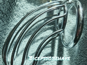 Bicepssobehave