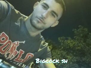 Bigcock_sh