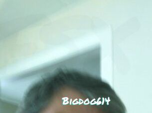 Bigdog614