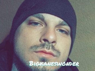Bigkaneswonder