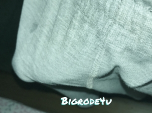 Bigrode4u