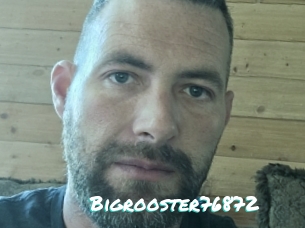 Bigrooster76872