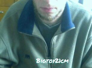 Bigtoy21cm