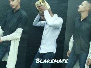 Blakemate