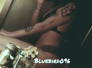 Bluebird096
