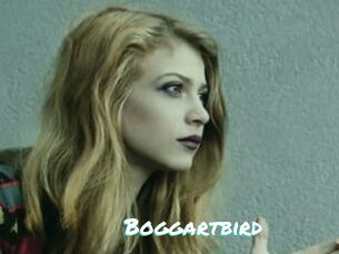 Boggartbird
