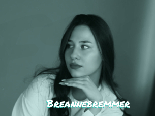 Breannebremmer