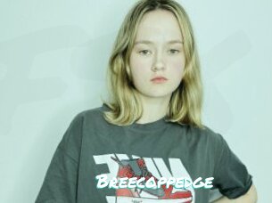 Breecoppedge