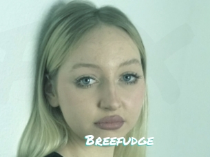 Breefudge
