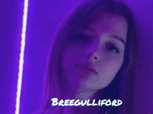 Breegulliford