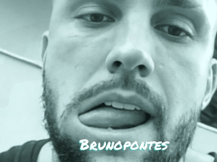 Brunopontes