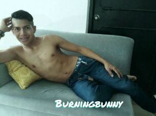 Burningbunny
