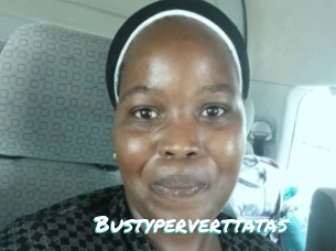 Bustyperverttatas