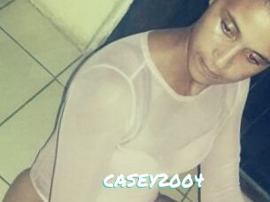 CASEY2004