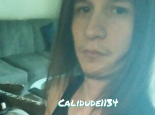 Calidude1134