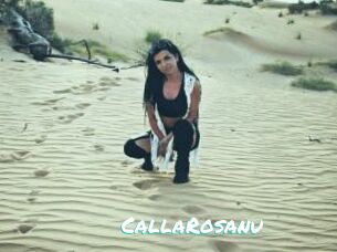 CallaRosanu