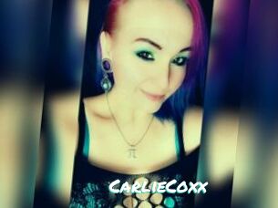 CarlieCoxx