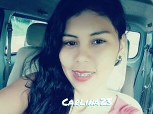 Carlina23