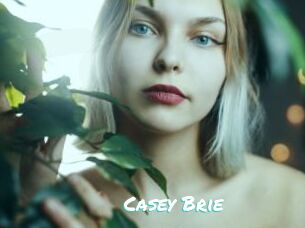 Casey_Brie