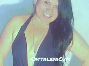 CattaleyaCum