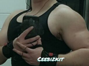 Ceebizkit