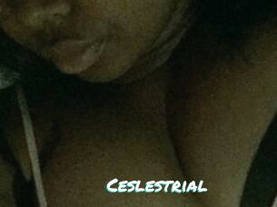 Ceslestrial