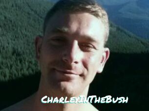 CharleyInTheBush