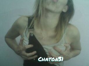 Chaton31