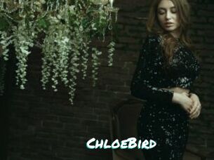 ChloeBird