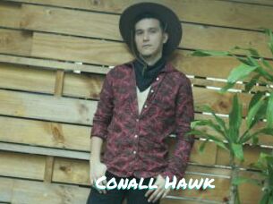 Conall_Hawk