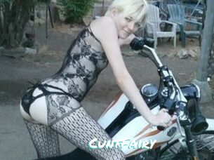 CuntFairy