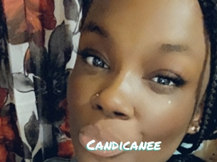 Candicanee