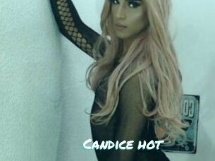 Candice_hot