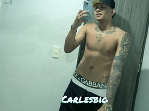 carlesbig Free Sites X