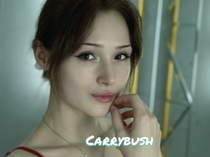 Carrybush