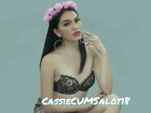 CassieCUMSalot18