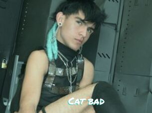 Cat_bad