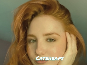 Cateheaps