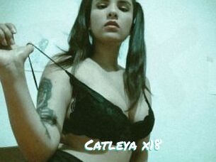 Catleya_x18