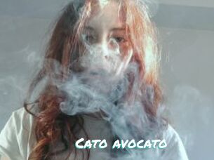 Cato_avocato