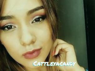 Cattleyacandy