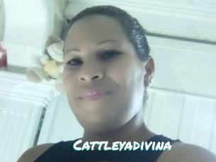 Cattleyadivina