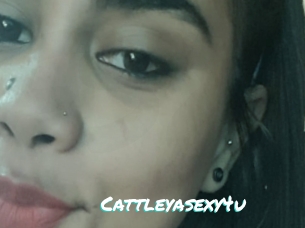 Cattleyasexy4u