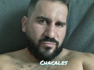 Chacales