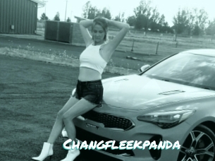 Changfleekpanda