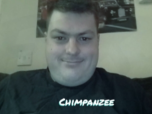 Chimpanzee