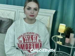 Chloebush