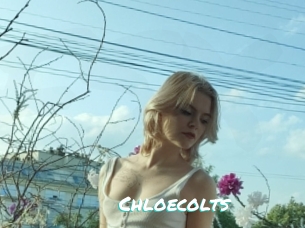 Chloecolts